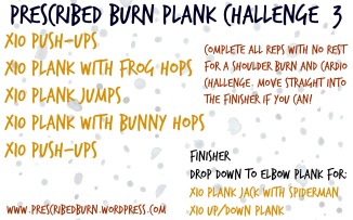 Plank Challenge 3