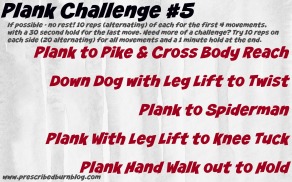 Plank Challenge #5